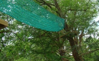  Curso del árbol de Jugeals Nazareth 